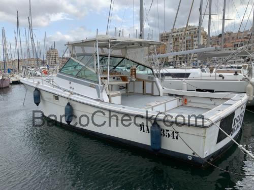 Topaz 36 avaliação e ficha técnica